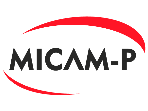 Portfolio Pinturas Micam-P